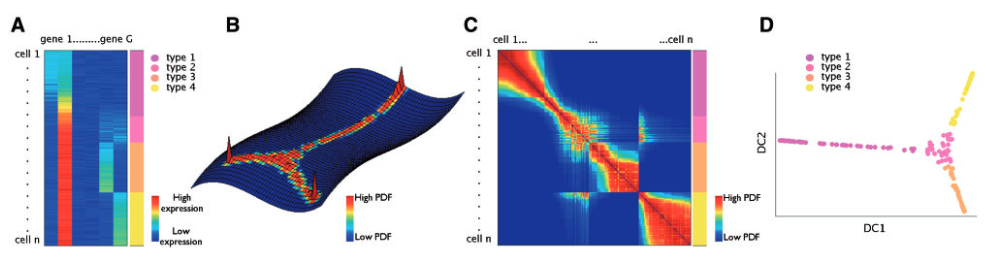 A short introduction to Diffusion Maps